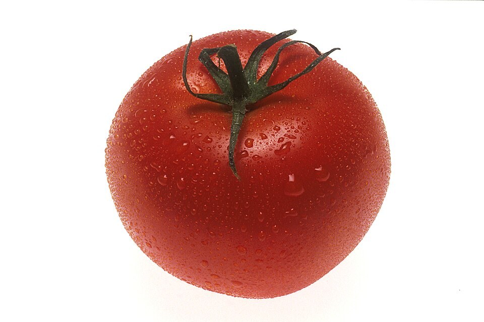 tomato